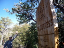 photo thumbnail #1