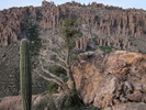 photo thumbnail #6