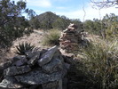 photo thumbnail #10