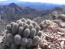 photo thumbnail #13