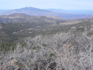 photo thumbnail #15