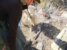 photo thumbnail #4