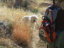 photo thumbnail #7