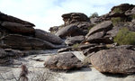 photo thumbnail #5