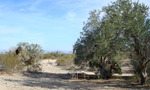photo thumbnail #6