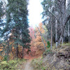 photo thumbnail #10