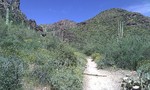 photo thumbnail #1