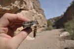 photo thumbnail #5