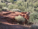 photo thumbnail #5