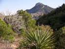 photo thumbnail #2