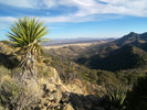 photo thumbnail #5