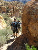photo thumbnail #15