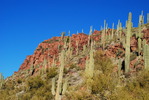 photo thumbnail #5