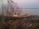 photo thumbnail #4