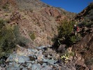 photo thumbnail #13
