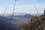 photo thumbnail #2