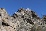 photo thumbnail #8