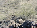 photo thumbnail #5