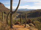photo thumbnail #1