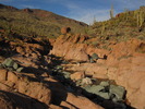 photo thumbnail #4