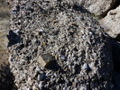 photo thumbnail #13