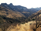 photo thumbnail #1