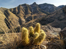 photo thumbnail #3