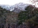 photo thumbnail #7