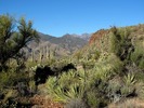 photo thumbnail #4