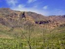 photo thumbnail #7