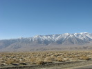 photo thumbnail #8