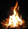 photo thumbnail #15