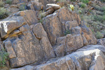 photo thumbnail #12