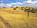 photo thumbnail #13