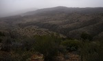 photo thumbnail #12