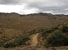 photo thumbnail #2