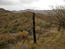 photo thumbnail #7