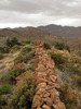 photo thumbnail #9