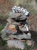 photo thumbnail #8