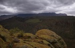 photo thumbnail #11
