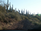 photo thumbnail #9