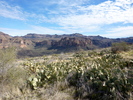 photo thumbnail #11
