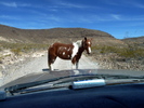 photo thumbnail #3