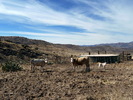 photo thumbnail #12