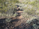photo thumbnail #4