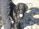 photo thumbnail #8