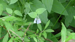 photo thumbnail #12