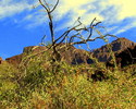 photo thumbnail #14