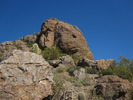 photo thumbnail #5