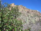 photo thumbnail #5